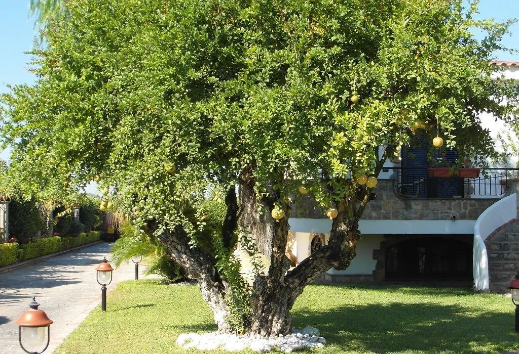 B&B Villa Lura Pompei-1
